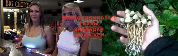 ECSTASY Алзамай