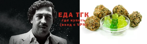ECSTASY Алзамай