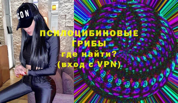 ECSTASY Алзамай