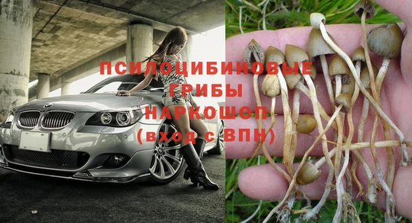 ECSTASY Алзамай