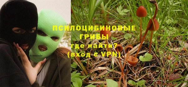 стаф Алексеевка