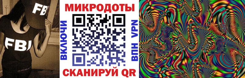 наркота Балашов Галлюциногенные грибы Cubensis