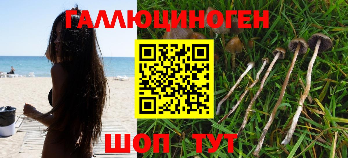 Галлюциногенные грибы прущие грибы  Галлюциногенные грибы Magic Shrooms  Вход с VPN  Балашов 