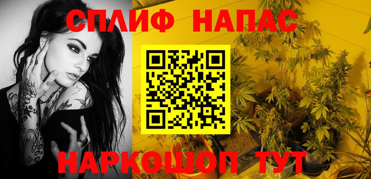 Конопля семена Балашов